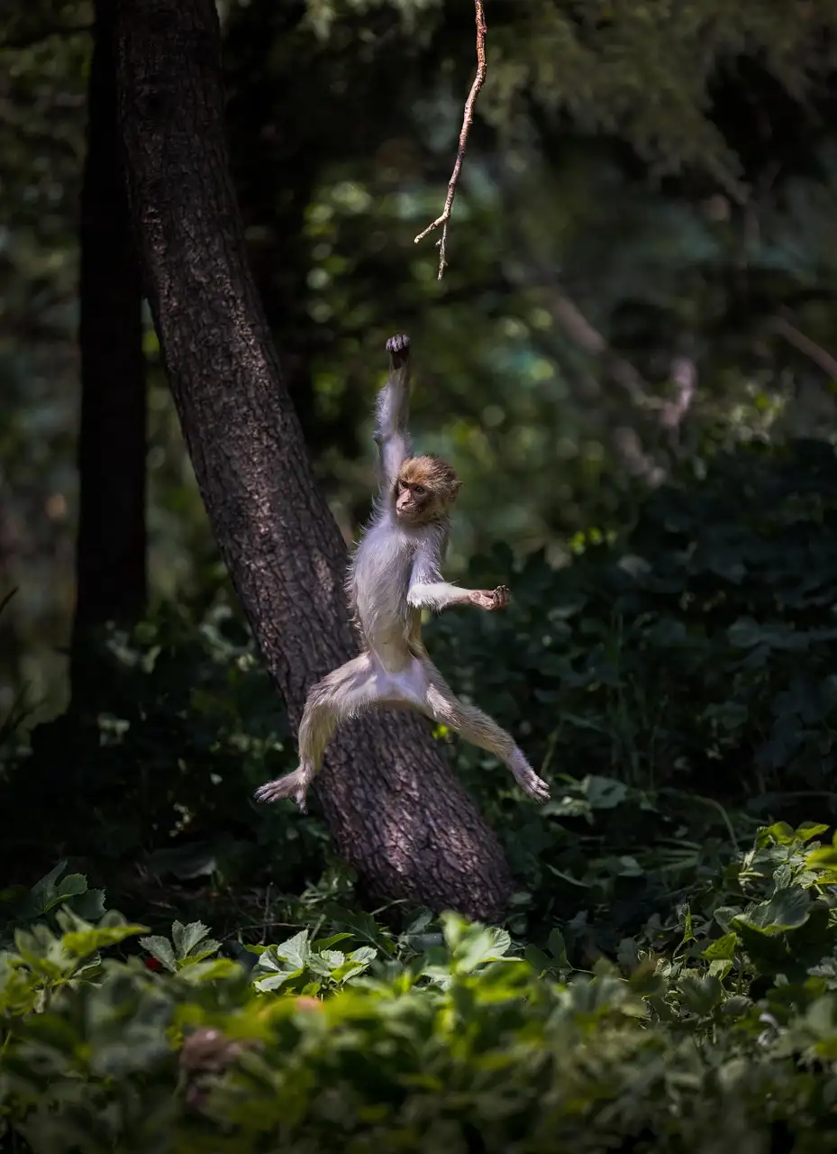 Illustration pour découvrez comment découvrez les services hetzner  peut trans