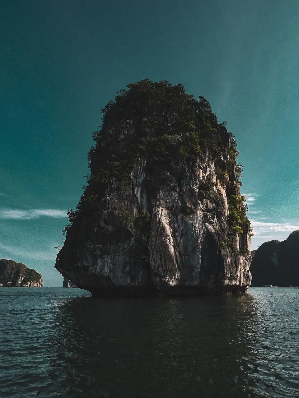 Illustration pour coffee boost whey  250g  peppermint mocha  cfc-distributionc