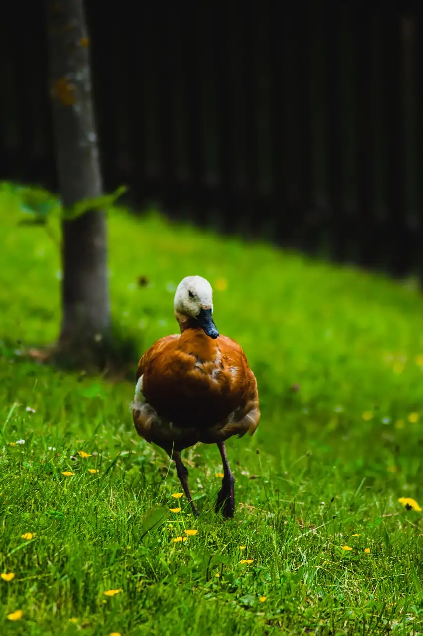 Illustration pour l argent facile  ciblecashcom conseils réussite