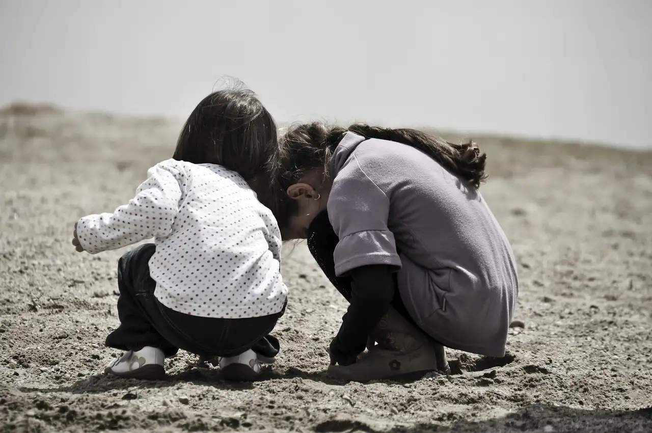 Illustration pour 2kg porta 21 superfood menu 2 canard croquettes pour chat