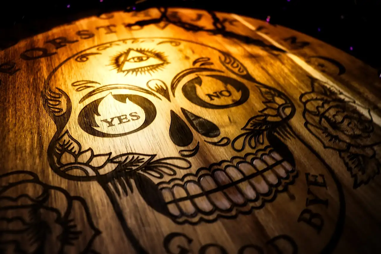 Illustration pour harnais en h max  molly watermelon pour chien  taille l  tou