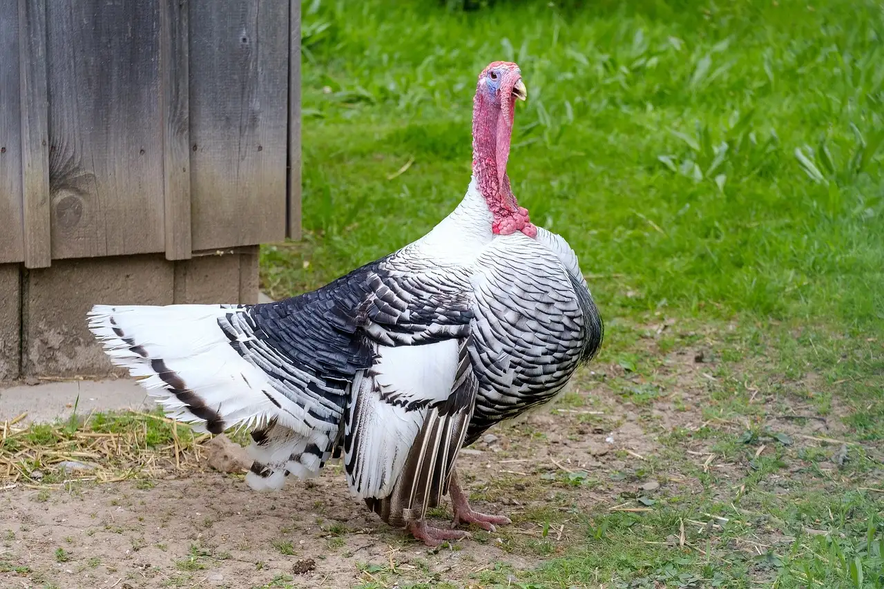 Illustration pour astuce pour monétiser son temps libre en partant d