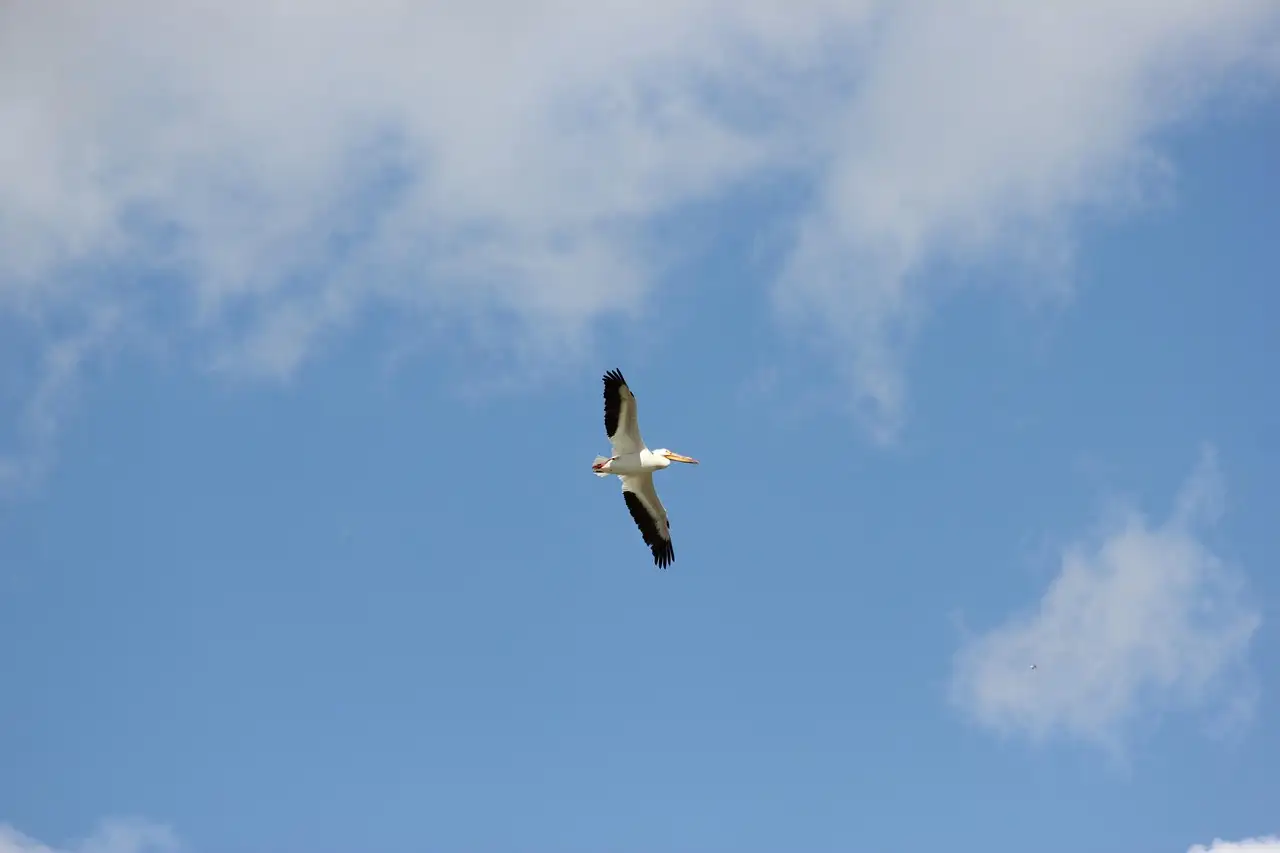 Illustration pour comment monétiser son temps libre facilement